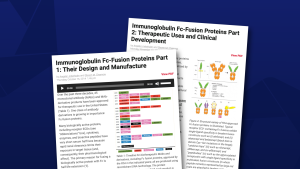 Immunoglobulin FC Fusion Proteins