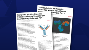 Therapeutic IgG Like Bispecific Antibodies